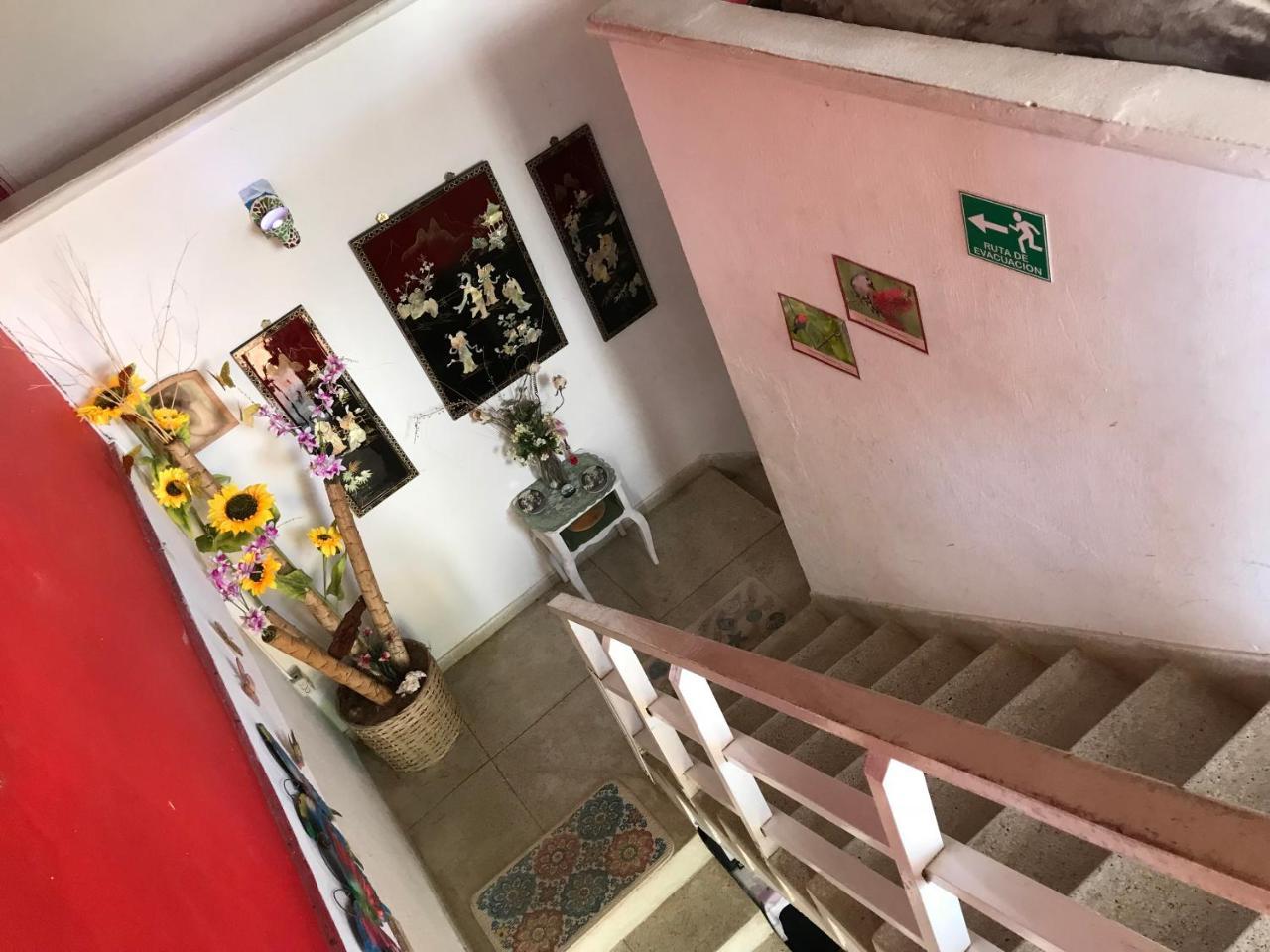 Posada Nativa Trinsan Campestre San Andrés Εξωτερικό φωτογραφία